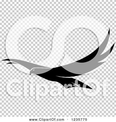 Transparent clip art background preview #COLLC1235775