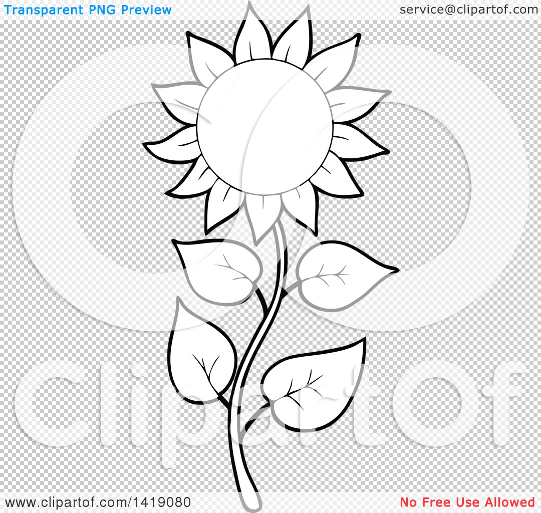 Clipart Of A Black And White Lineart Sunflower Royalty Free