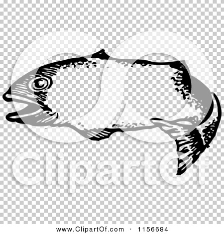 Transparent clip art background preview #COLLC1156684
