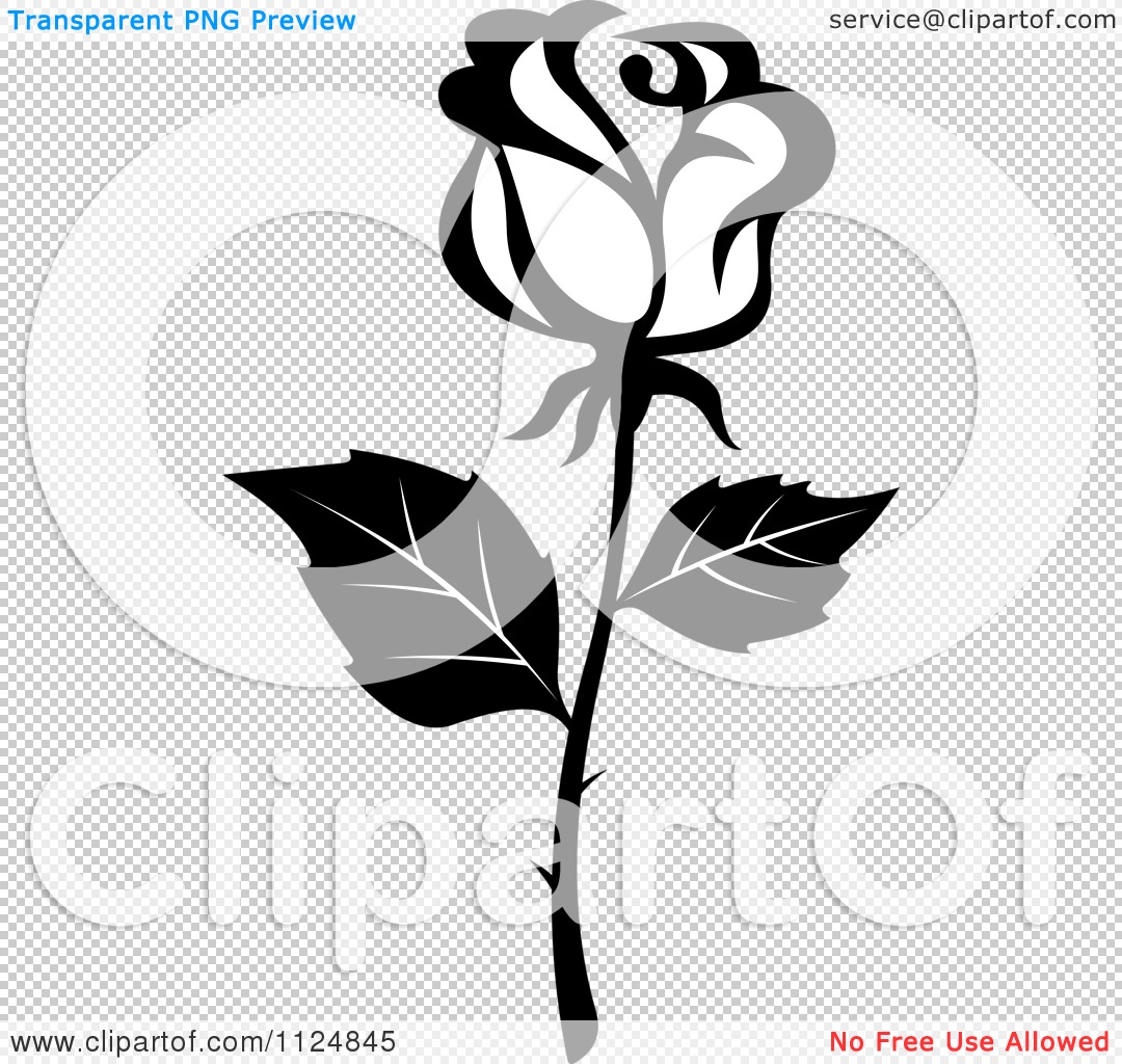 Clipart Of A Black And White Rose Flower 16 Royalty Free Vector Illustration By Vector Tradition Sm 1124845