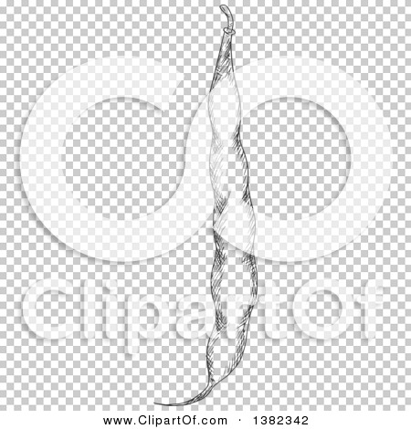 Transparent clip art background preview #COLLC1382342
