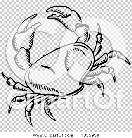 Clipart of a Black and White Sketched Crab - Royalty Free Vector