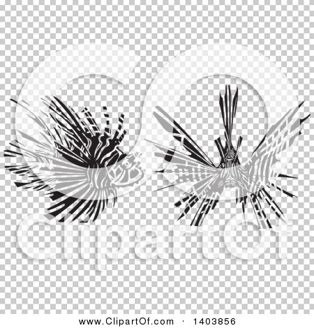 Transparent clip art background preview #COLLC1403856