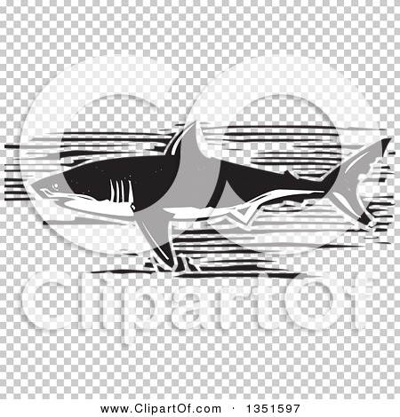 Transparent clip art background preview #COLLC1351597