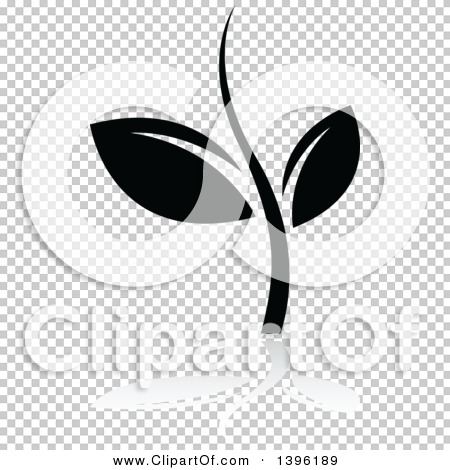 Transparent clip art background preview #COLLC1396189