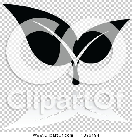 Transparent clip art background preview #COLLC1396194