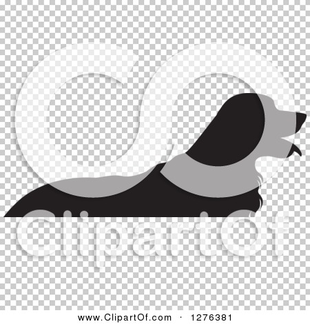 Transparent clip art background preview #COLLC1276381