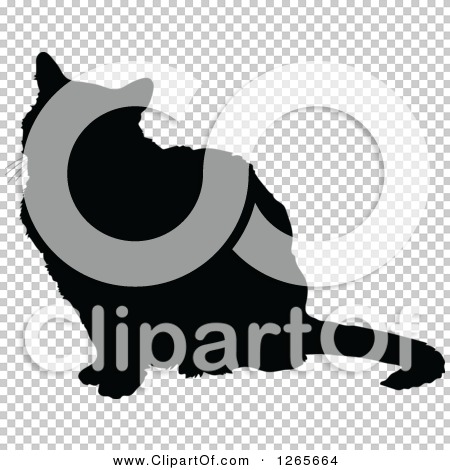 Transparent clip art background preview #COLLC1265664