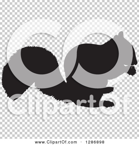 Transparent clip art background preview #COLLC1286898