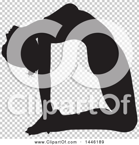 Transparent clip art background preview #COLLC1446189