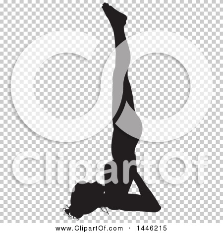Transparent clip art background preview #COLLC1446215
