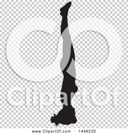 Transparent clip art background preview #COLLC1446232