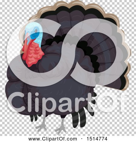 Transparent clip art background preview #COLLC1514774