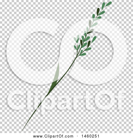 Transparent clip art background preview #COLLC1460251