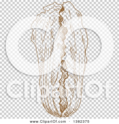 Transparent clip art background preview #COLLC1382375