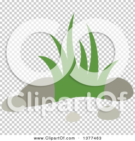 Transparent clip art background preview #COLLC1377463