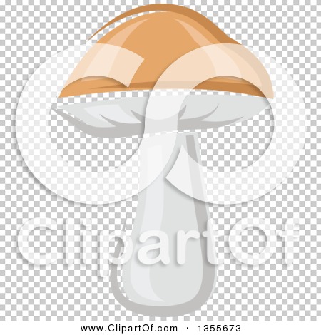 Transparent clip art background preview #COLLC1355673