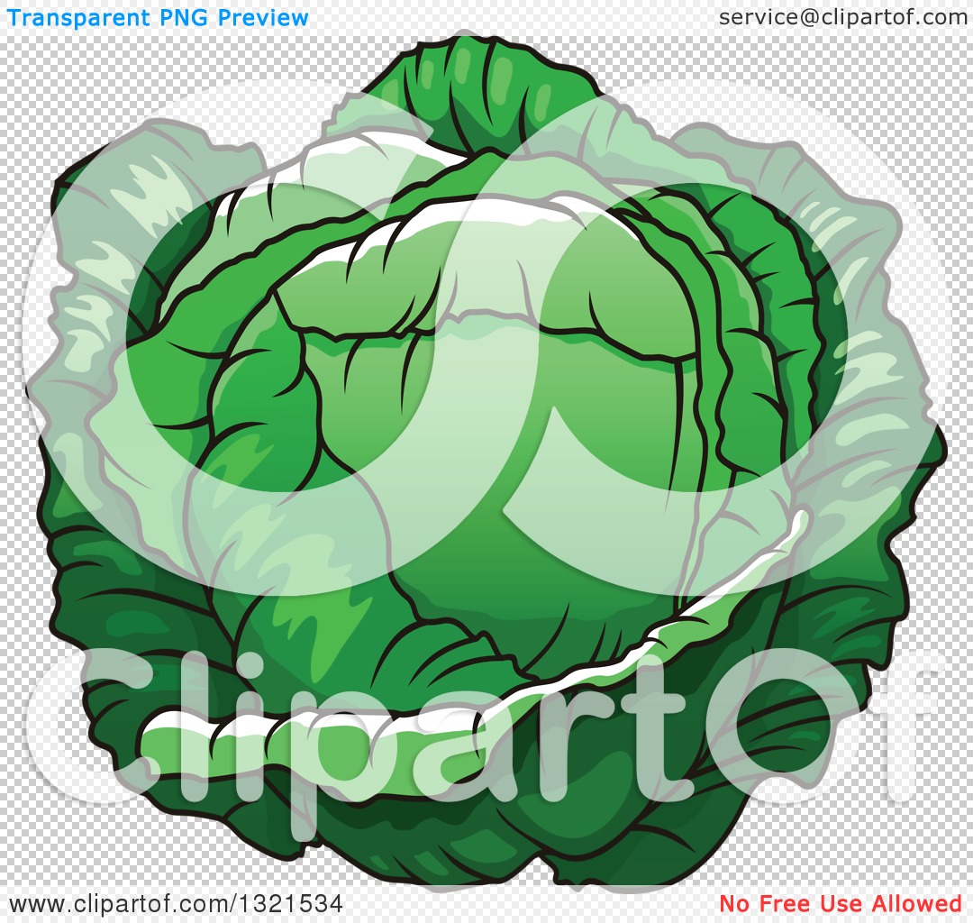 Clipart of a Cartoon Cabbage - Royalty Free Vector Illustration by