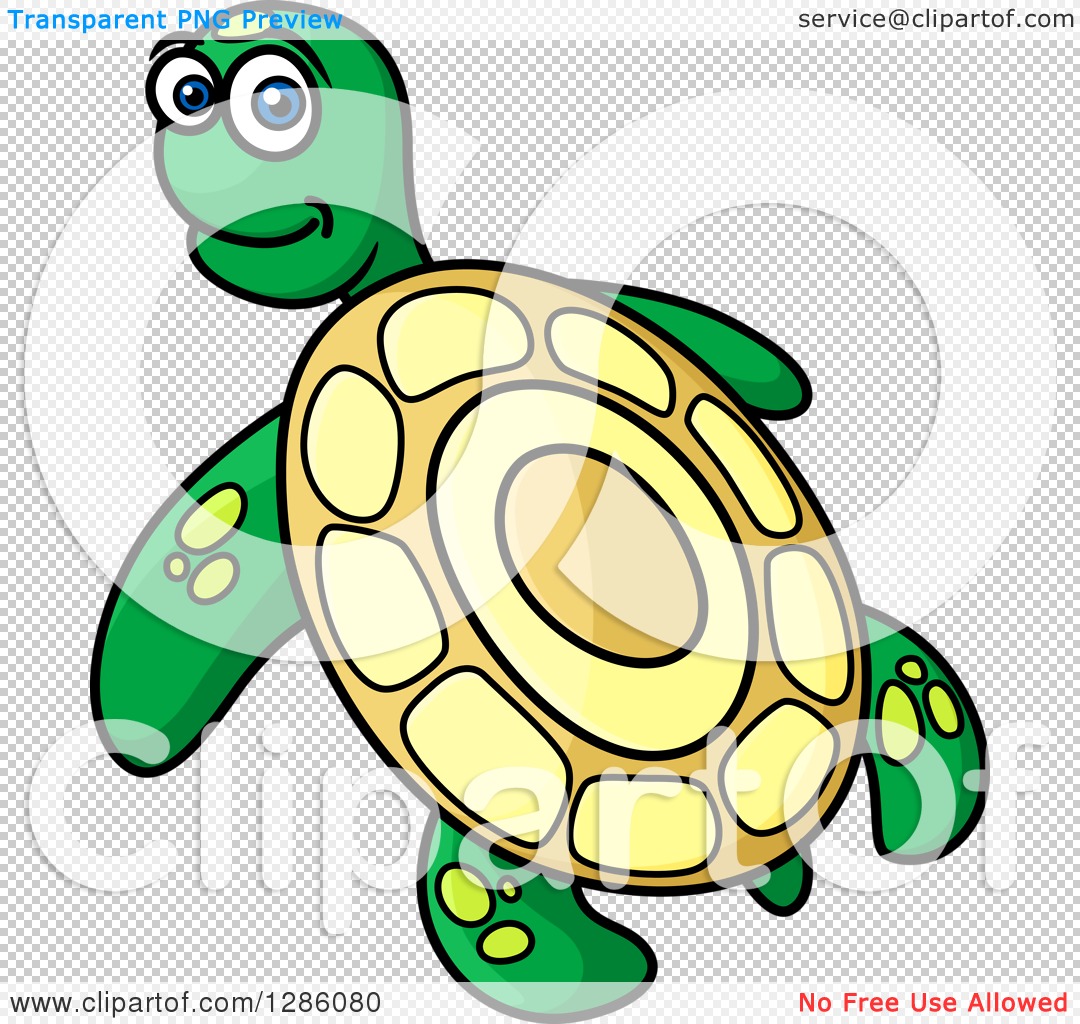 cartoon sea turtle