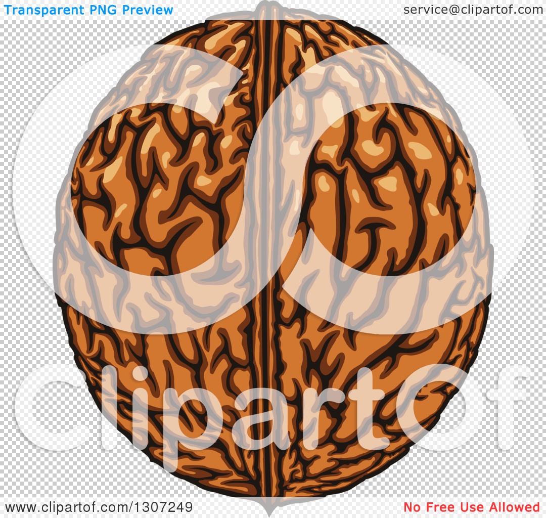 Clipart of a Cartoon Walnut - Royalty Free Vector Illustration by