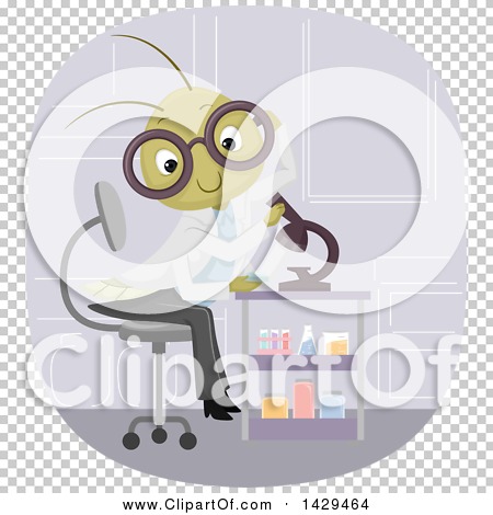 Transparent clip art background preview #COLLC1429464