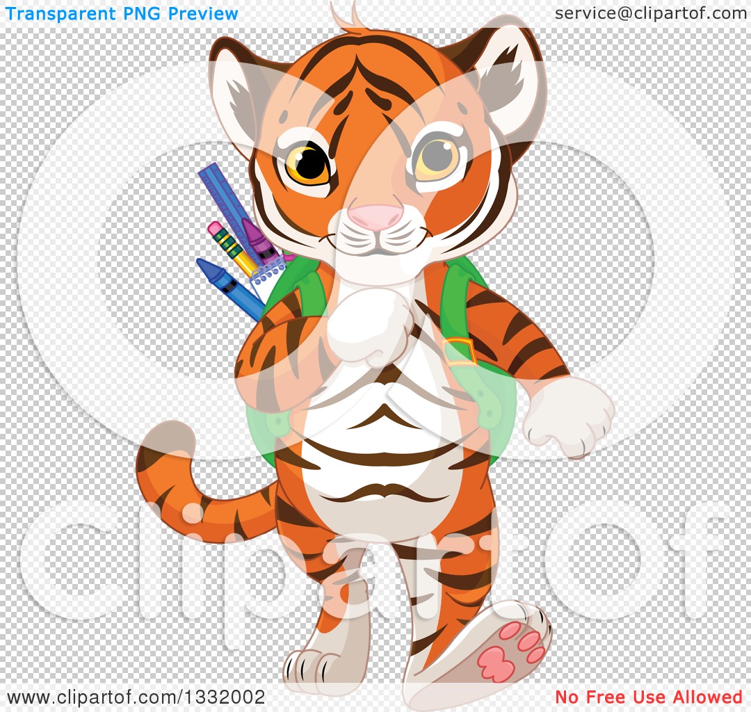 cute baby white tiger walking, Stock vector