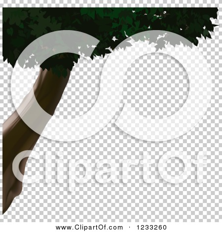 Transparent clip art background preview #COLLC1233260