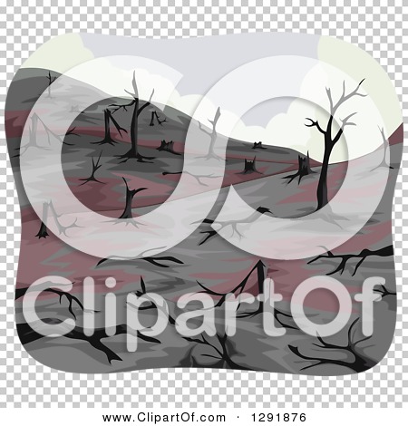 Transparent clip art background preview #COLLC1291876