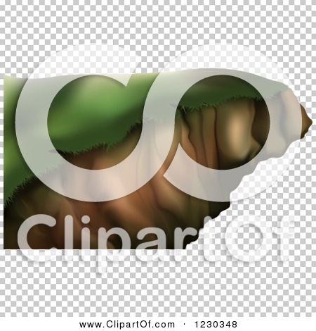 Transparent clip art background preview #COLLC1230348