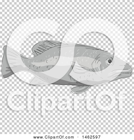 Transparent clip art background preview #COLLC1462597