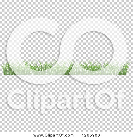 Transparent clip art background preview #COLLC1265900
