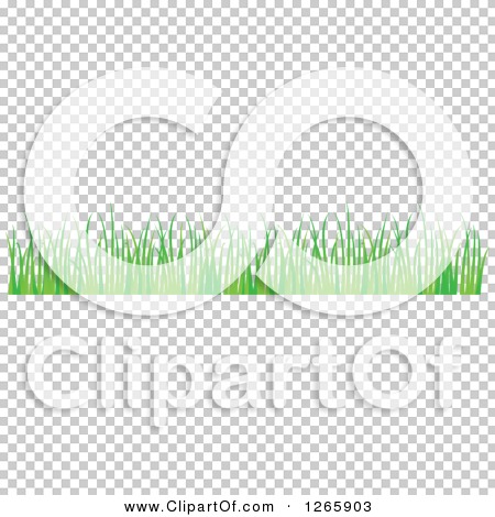 Transparent clip art background preview #COLLC1265903