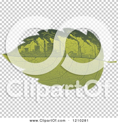 Transparent clip art background preview #COLLC1210281