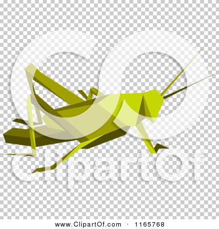 Transparent clip art background preview #COLLC1165768