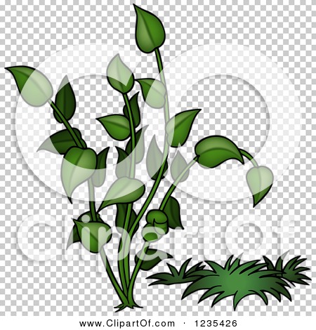 Transparent clip art background preview #COLLC1235426