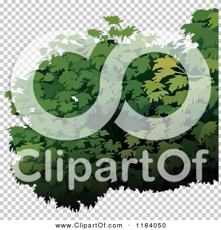 Transparent clip art background preview #COLLC1184050