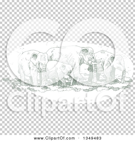 Transparent clip art background preview #COLLC1349483
