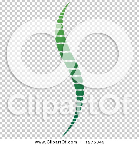 Transparent clip art background preview #COLLC1275043