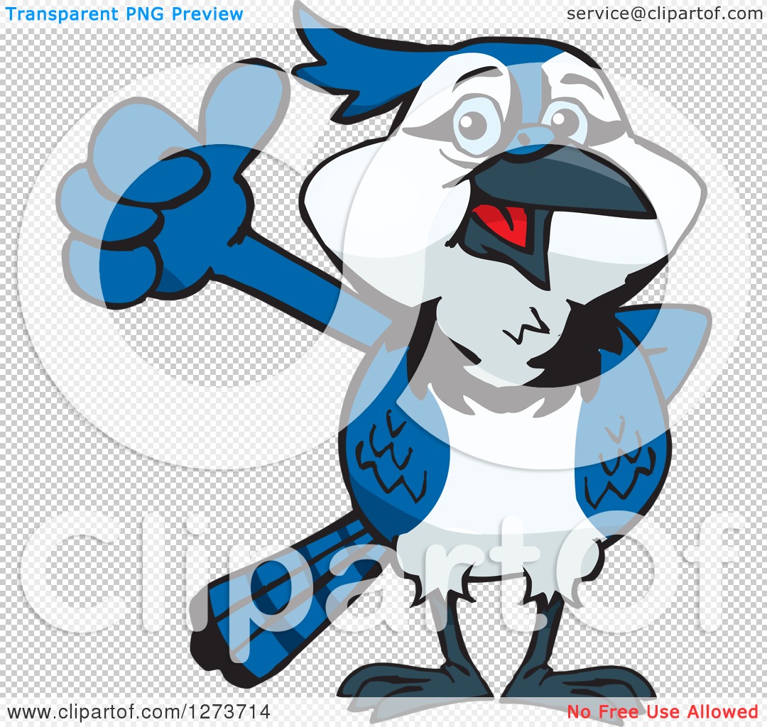 Blue Jay Clipart Images, Free Download
