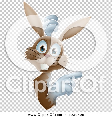 Transparent clip art background preview #COLLC1230495
