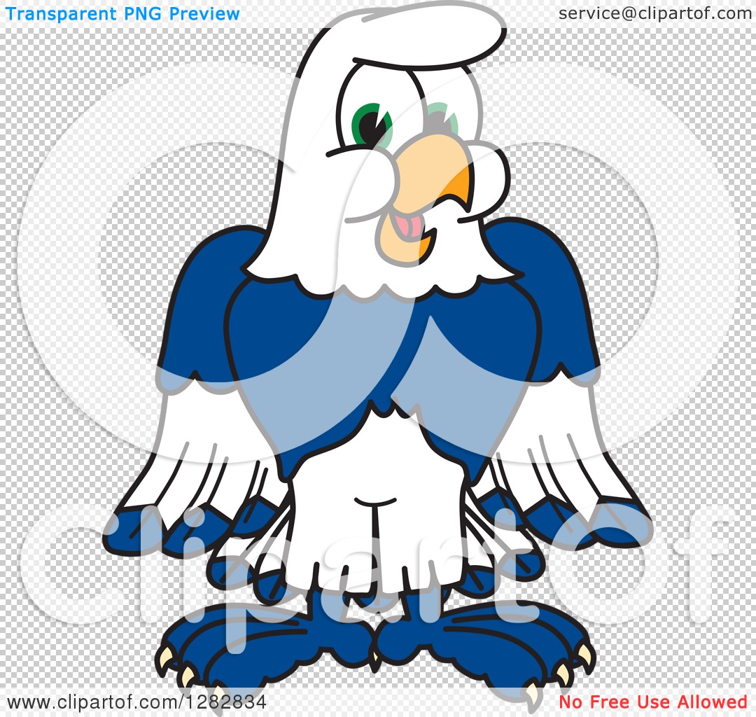 seahawk bird clipart cute