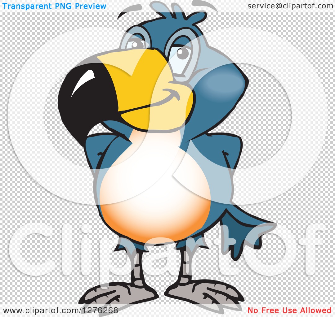 Clipart of a Happy Blue Jay Bird Giving a Thumb up - Royalty Free Vector  Illustration by Dennis Holmes Designs #1273714