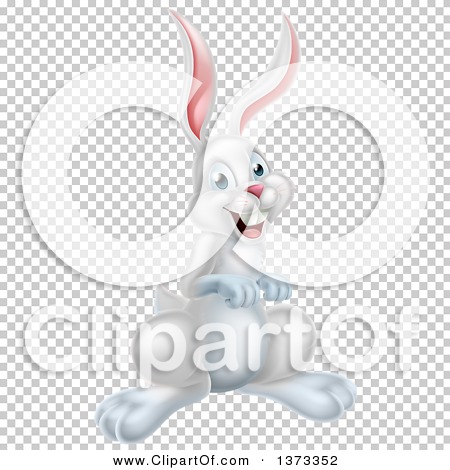 Transparent clip art background preview #COLLC1373352