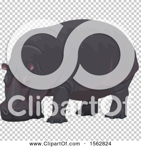 Transparent clip art background preview #COLLC1562824