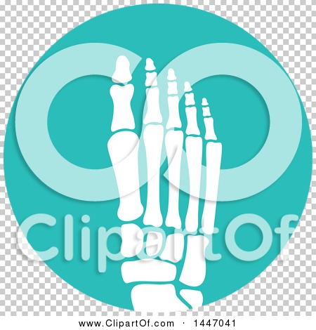 Transparent clip art background preview #COLLC1447041