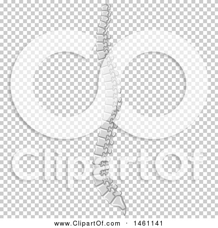 Transparent clip art background preview #COLLC1461141