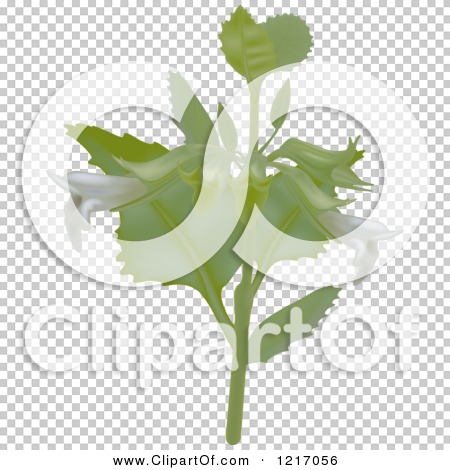 Transparent clip art background preview #COLLC1217056