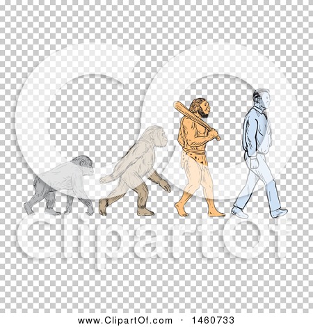 Transparent clip art background preview #COLLC1460733