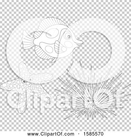 Transparent clip art background preview #COLLC1585570