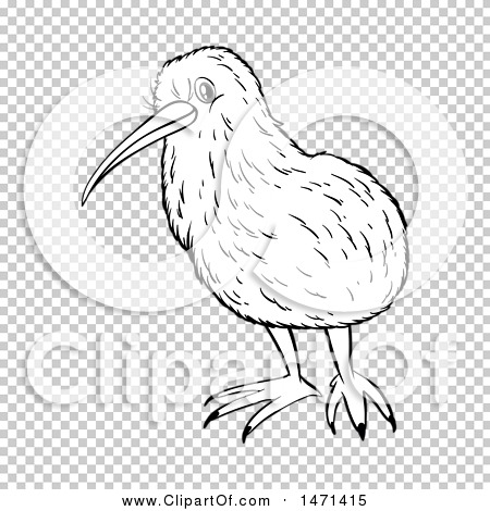 Clipart of a Lineart Kiwi Bird - Royalty Free Vector Illustration by